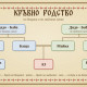 Кръвно родство: чичо, вуйчо, стрина, свако и братовчеди