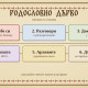 Как да съставим родословно дърво: стъпка по стъпка