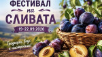 Фестивал на Сливата - град Троян 2026